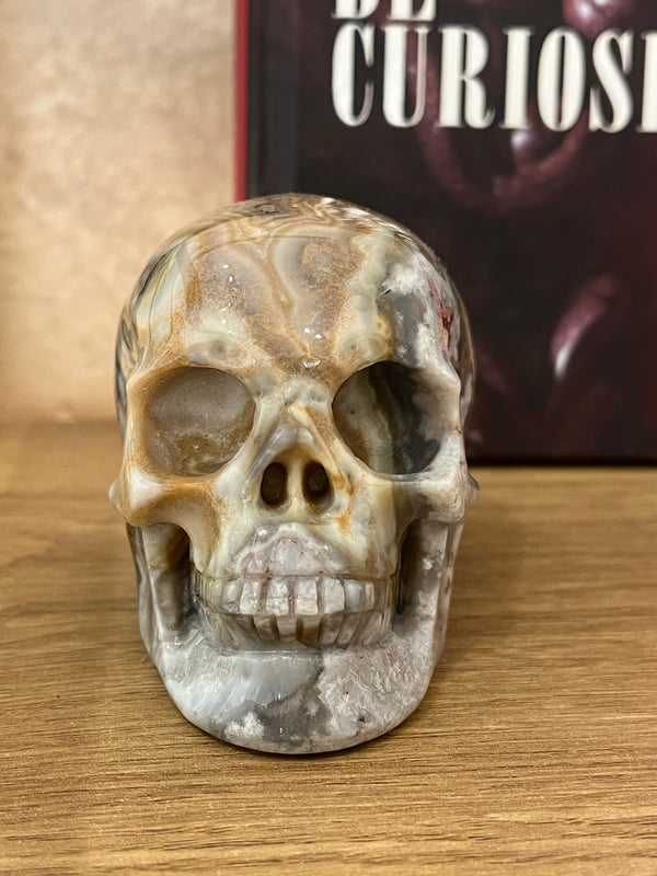 Crâne en agate grise sculptée – Objet de curiosité minéral