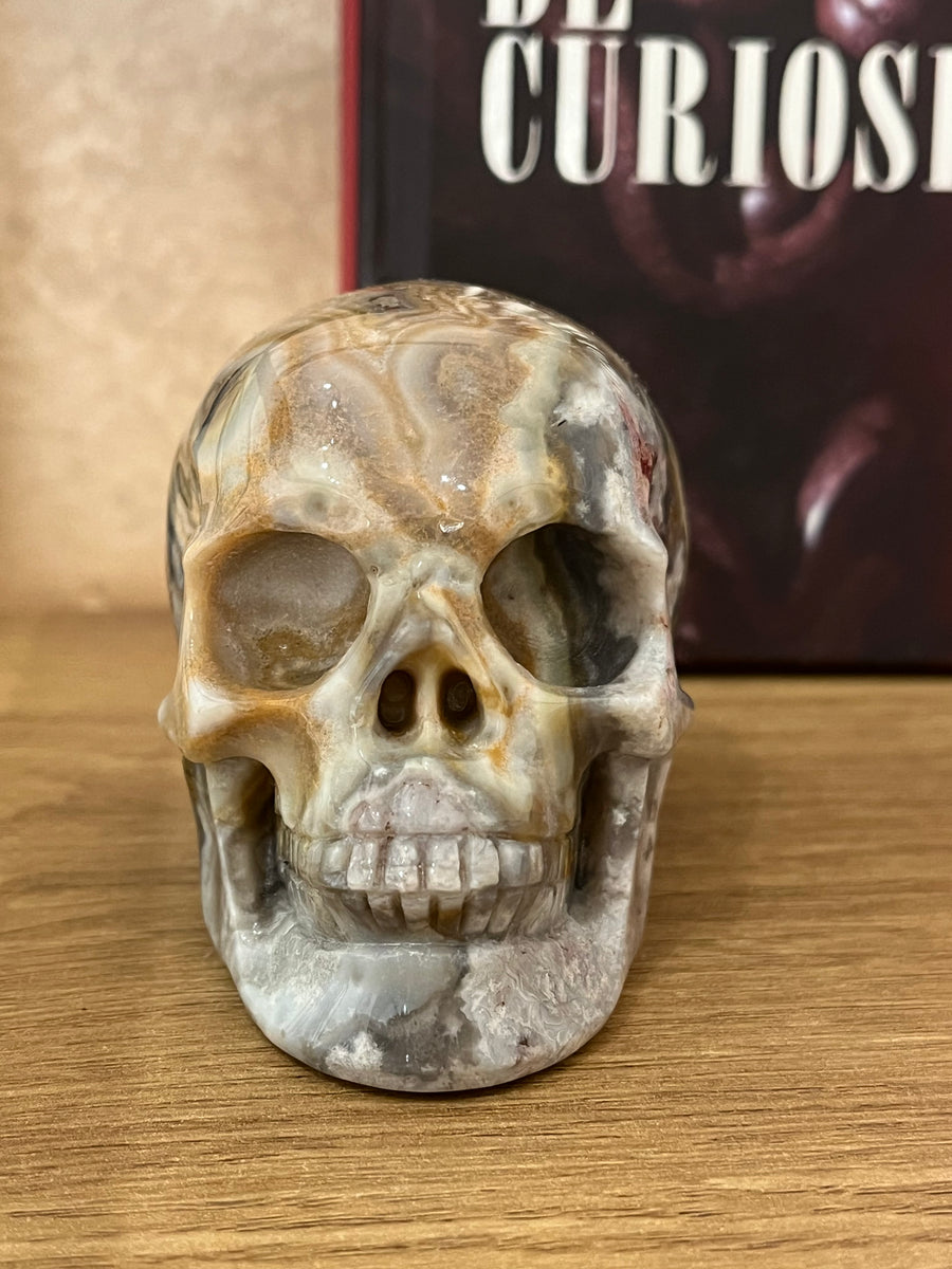 Crâne en agate grise sculptée – Objet de curiosité minéral